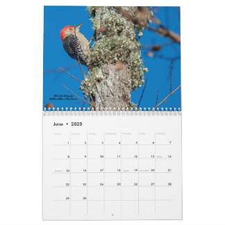 2025 Birding for Woodpeckers Calendar