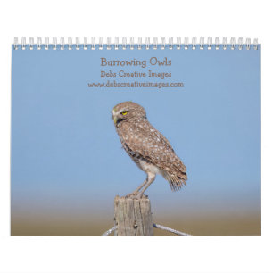 2025 Burrowing Owls of Florida Calendar