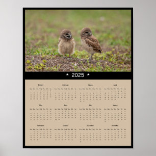 2025 Burrowing Owls Wall Calendar Poster