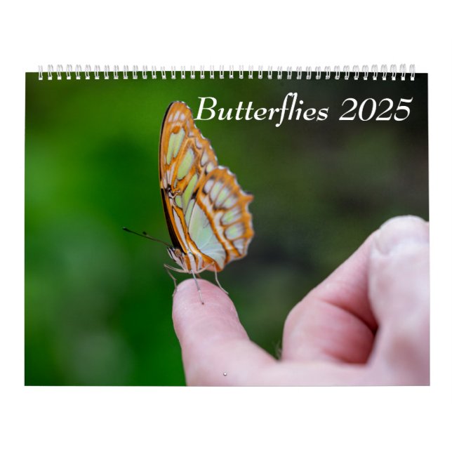 2025 Butterflies Calendar (Cover)
