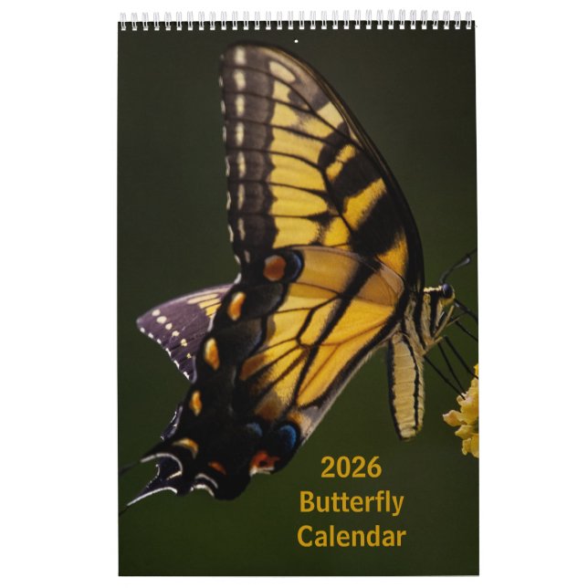 2025 Butterfly One Page Calendar (Cover)