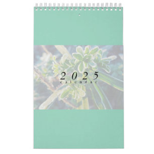2025 Calendar