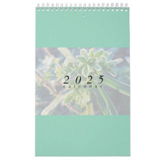 2025 Calendar