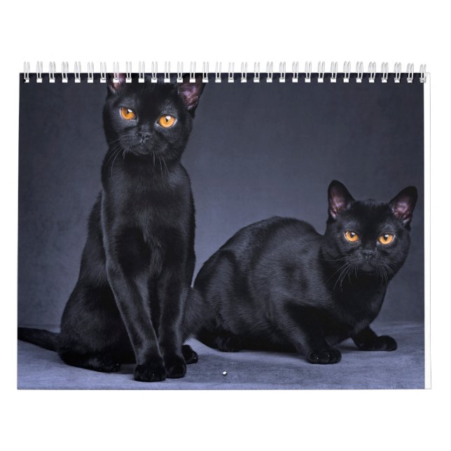 2025 CALENDAR (Cover)