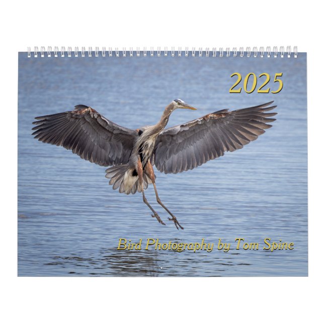 2025 Calendar - Bird Photographs by Tom Spine (Cover)