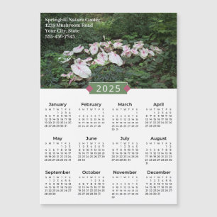 2025 Calendar Caladium Photograph Promo Magnet