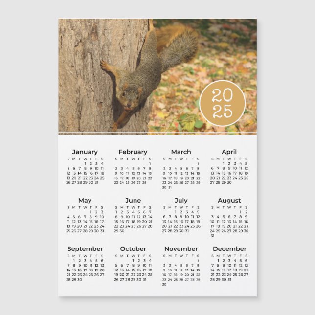 2025 Calendar Cute Squirrel Photo Magnet (Front)