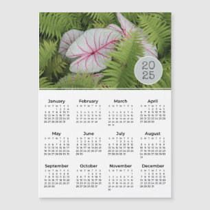 2025 Calendar Ferns & Caladium Photo Magnet