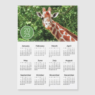 2025 Calendar Giraffe Photograph Magnet
