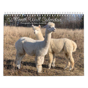 2025 Calendar - Hello Bluebirds Farm Photos