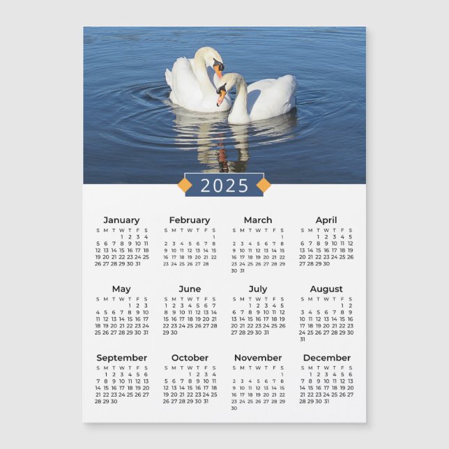 2025 Calendar Love Swans Photo Magnet (Front)