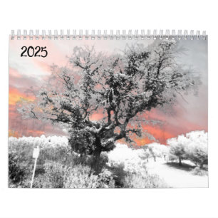 2025 Calendar Planner art and design 
