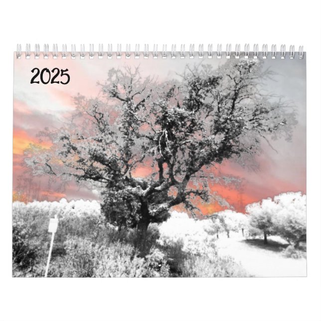 2025 Calendar Planner art and design  (Cover)