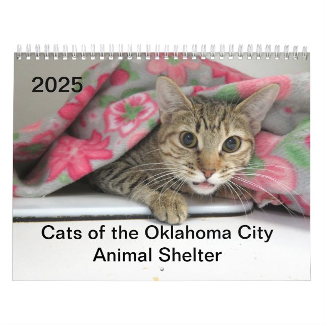 2025 Cats of the Oklahoma City Animal Shelter Calendar (Cover)