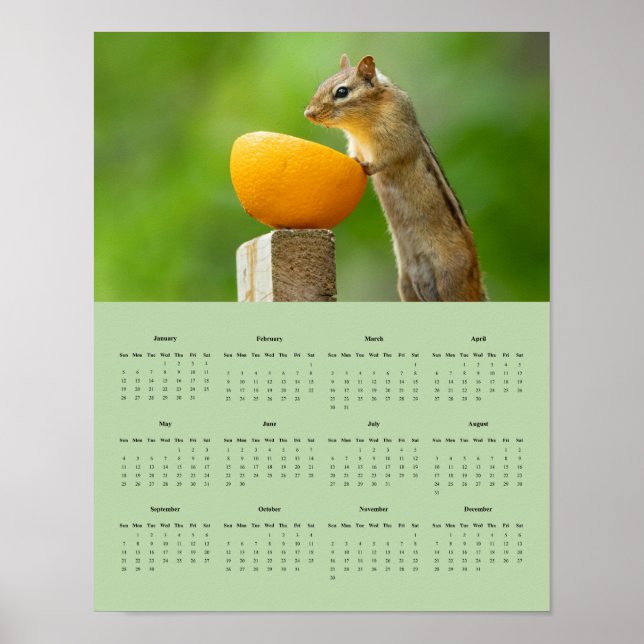 2025 Chipmunk Wall Calendar Poster (Front)