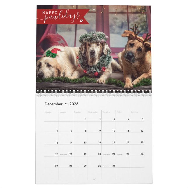 2025 Custom Dog Photo 1 Image Per Month Cute Calendar (Dec 2026)