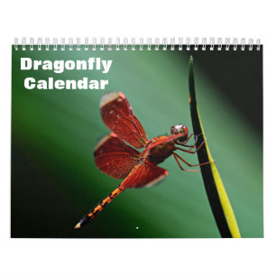 2025 Dragonfly Calendar