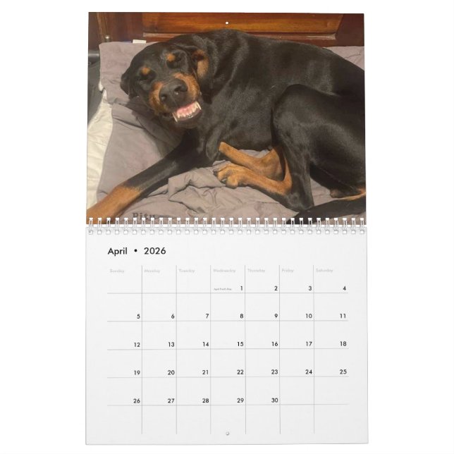 2025 DT Calendar (Apr 2026)