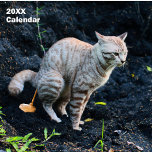 2025 Funny Cats Pooping Calendar Personalised<br><div class="desc">Hilarious cats pooping photographed images calendar of 2025. Perfect for the new year and holidays gifts,  great for cats and funny animals lovers.</div>