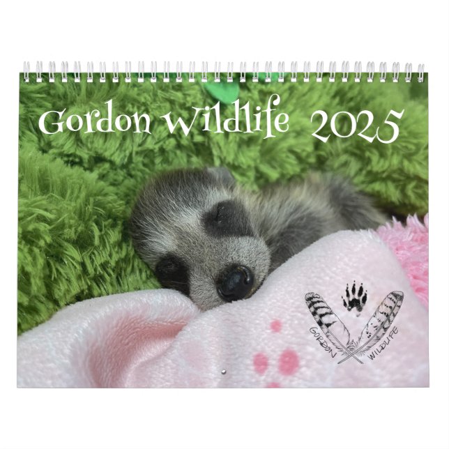 2025 Gordon Wildlife Racoon Calendar (Cover)