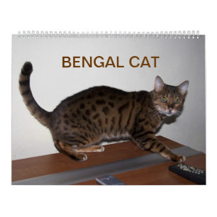 2025 Gorgeous Bengal Cats Calendar