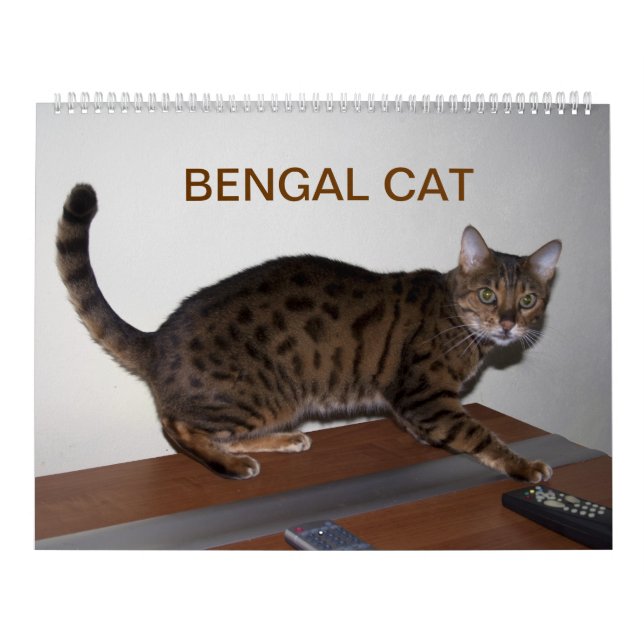 2025 Gorgeous Bengal Cats  Calendar (Cover)