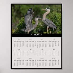 2025 Great Blue Heron Wall Calendar Poster