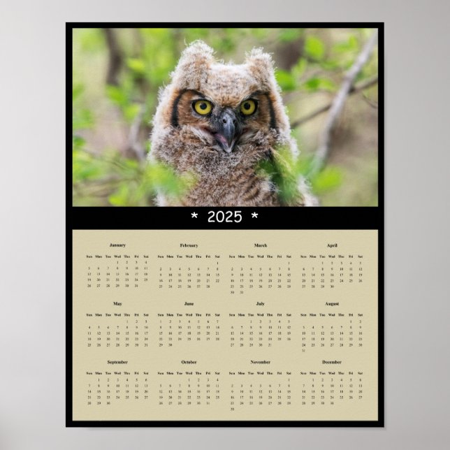 2025 Great Horned Owl Wall Calendar Poster (Front)