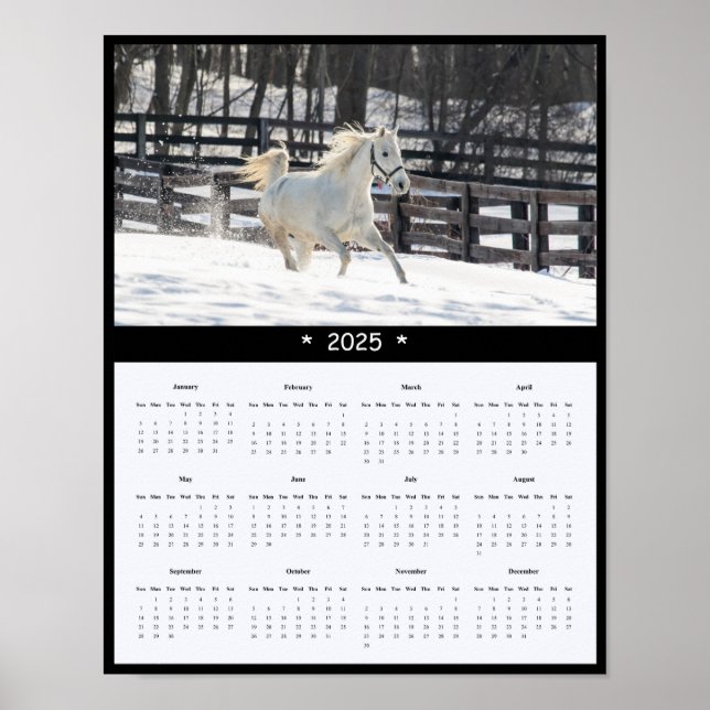 2025 Horse Wall Calendar Poster (Front)