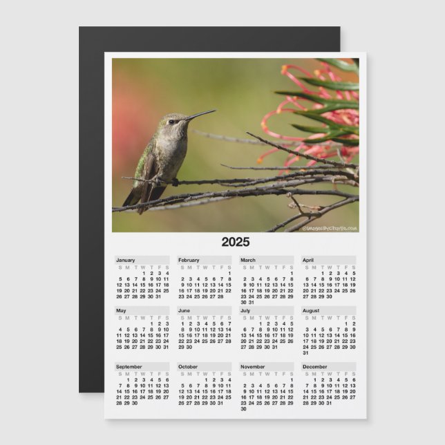 2025 Hummingbird 5x7" Magnetic Mini Calendar (Front/Back)