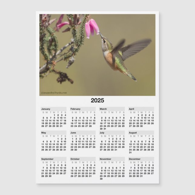 2025 Hummingbird 5x7" Magnetic Mini Calendar (Front)