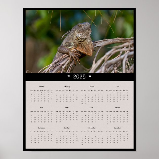 2025 Iguana Wall Calendar Poster (Front)