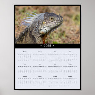2025 Iguana Wall Calendar Poster
