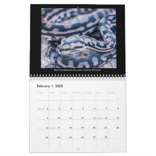 2025 Morelia Python Radio Calendar