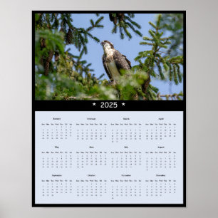 2025 Osprey Wall Calendar Poster