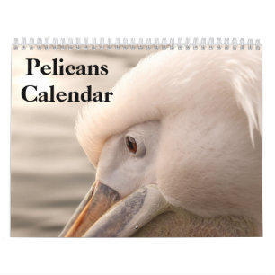 2025 Pelicans Bird Calendar