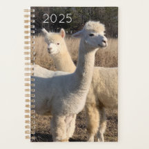 2025 Planner - Alpacas Abby & Bailey