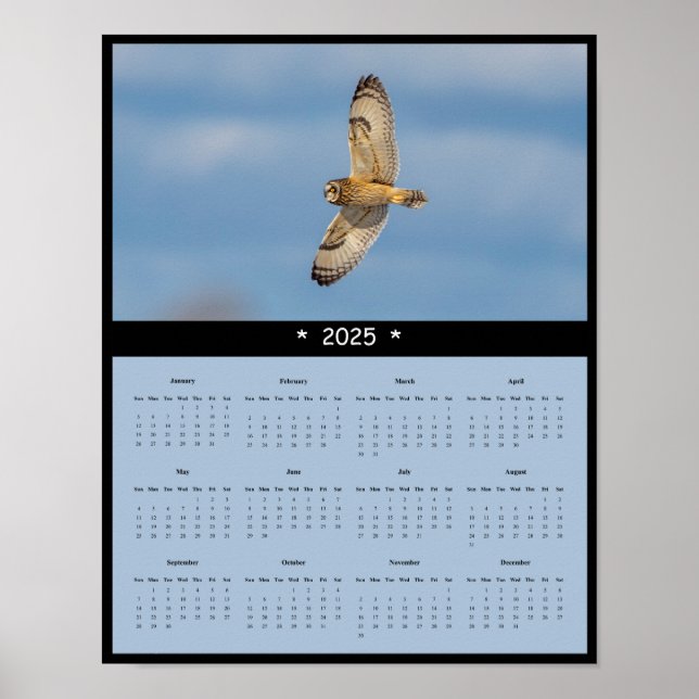 2025 Short-Eared Owl Wall Calendar Poster (Front)