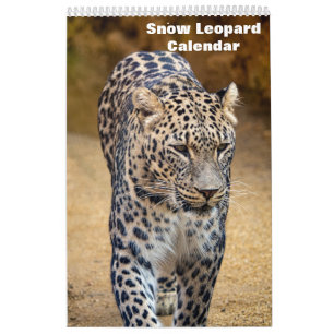 2025 Snow leopard Calendar