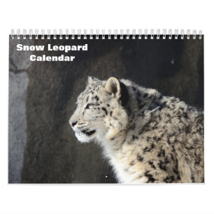 2025 Snow leopard Calendar