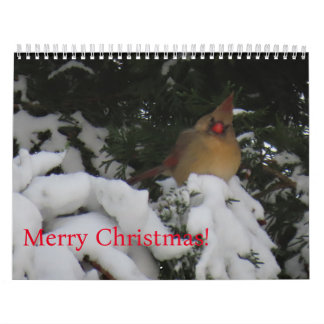 2025 Sunset Calendar