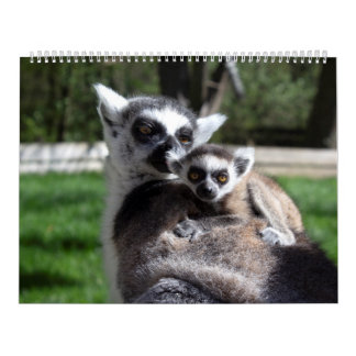 2025 Sweet Ring-tailed Lemurs  Calendar