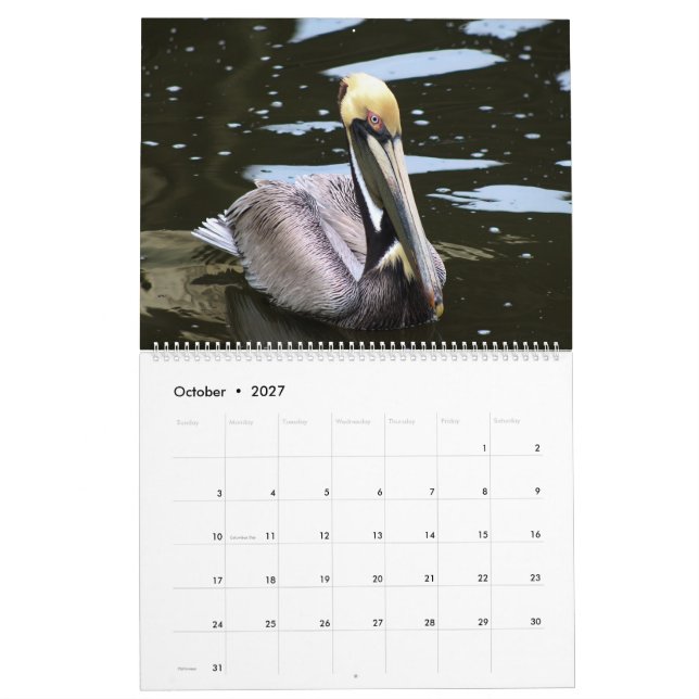 2025 Tropical Calendar, Beach Birds In Paradise  Calendar (Oct 2027)
