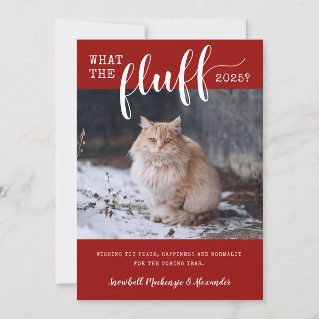 2025 What the Fluff Funny Pet Cat Photo Holiday Card (Front)