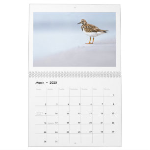 2025 Wildlife Photo Calendar