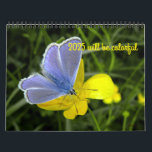 2025 will be colourful calendar<br><div class="desc">Delightful flowers to brighten every months in 2025.</div>