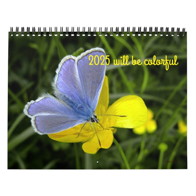 2025 will be colourful calendar (Cover)