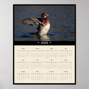 2025 Wood Duck Drake Wall Calendar Poster