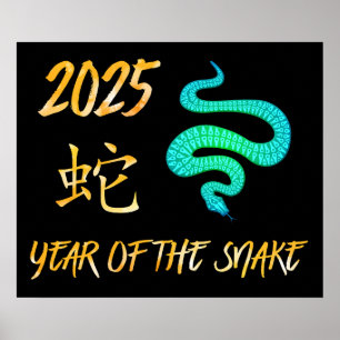 2025 Year Of The Snake Poster