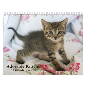 2026 Adorable Kittens Twelve Month Cat Calendar